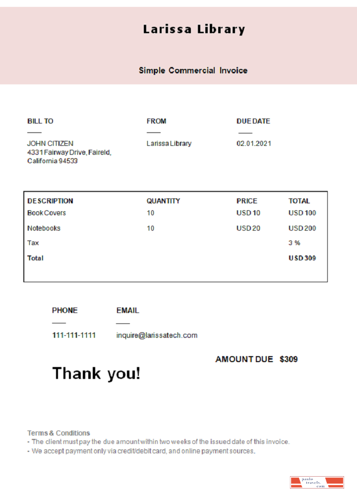 USA Larissa Library invoice PSD template